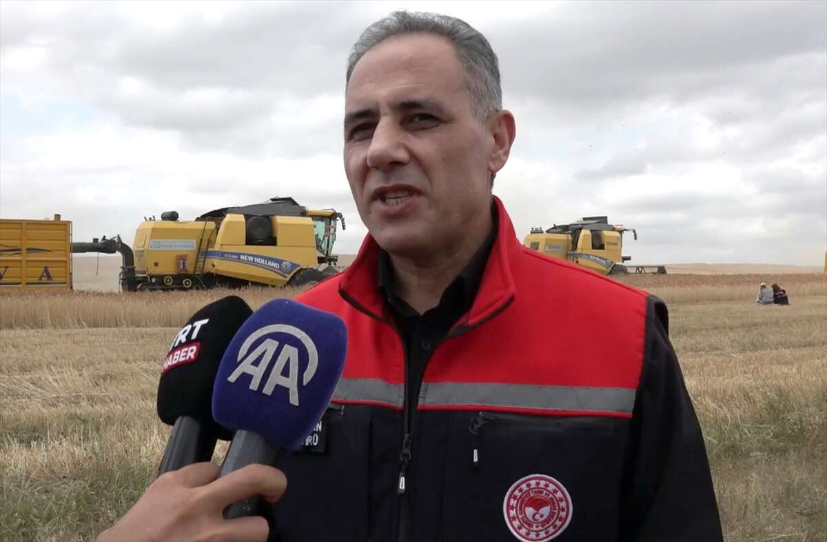 Taner bu yıl çiftçinin cebini dolduracak 11